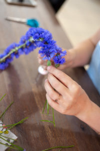 Minishooting Familienbilder Dresden Kornblumenaktion Linda Roeck