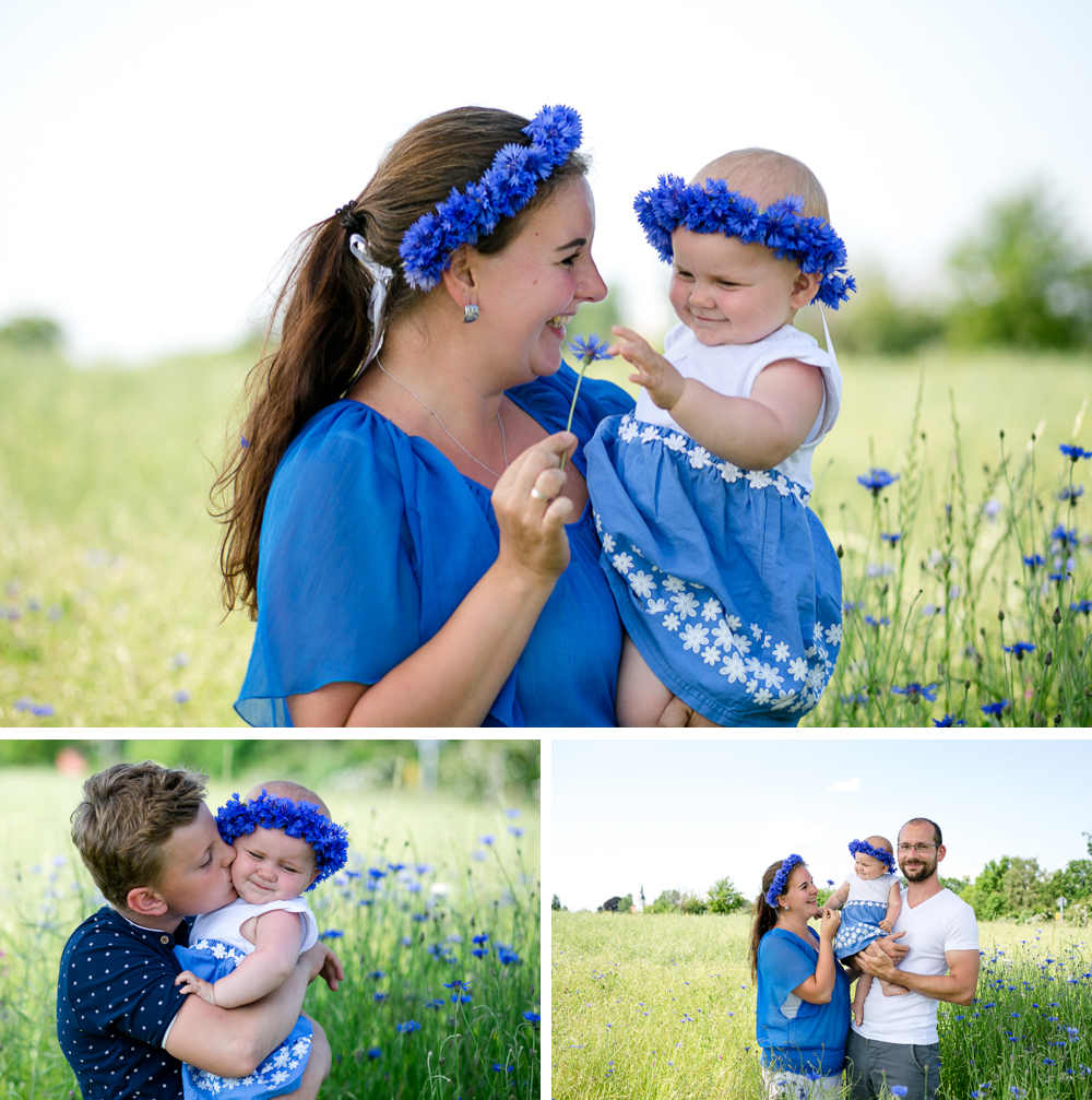 Kornblume_Familienshooting_Dresden