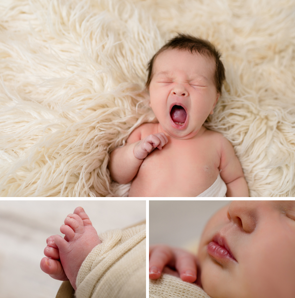 Fotoshootimg Baby Dresden Col (2)